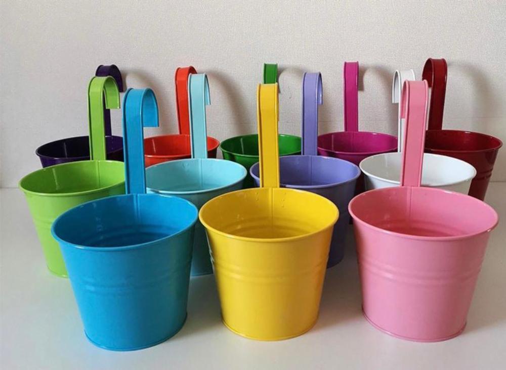 Buy Indoor PlantsOutdoor Plants & Garden Tools and Accessories Online