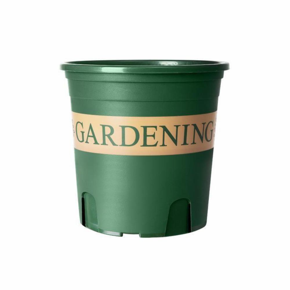 Buy Indoor PlantsOutdoor Plants & Garden Tools and Accessories Online