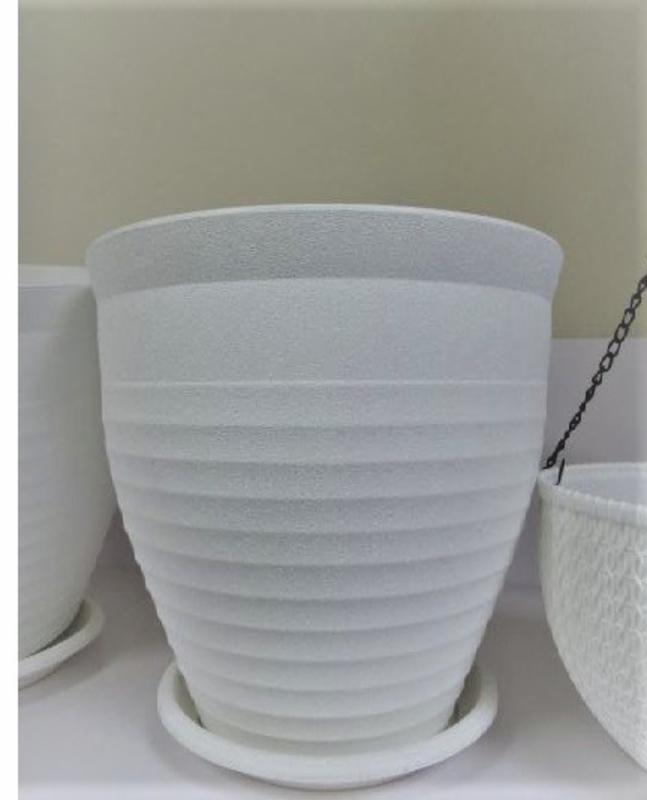 Buy Indoor PlantsOutdoor Plants & Garden Tools and Accessories Online