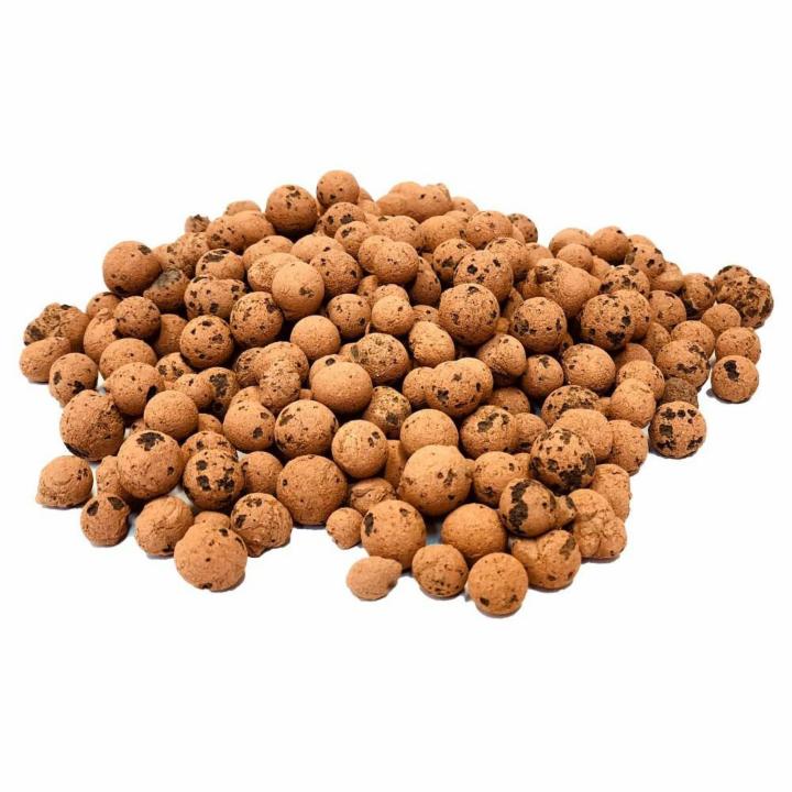 Buy Indoor PlantsOutdoor Plants & Garden Tools and Accessories Online dubai,UAE