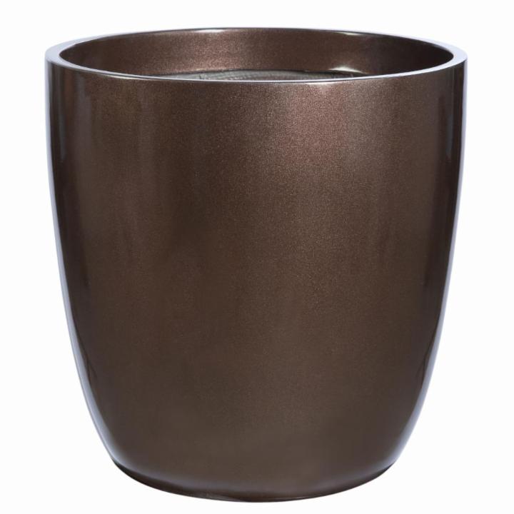 Buy Indoor PlantsOutdoor Plants & Garden Tools and Accessories Online