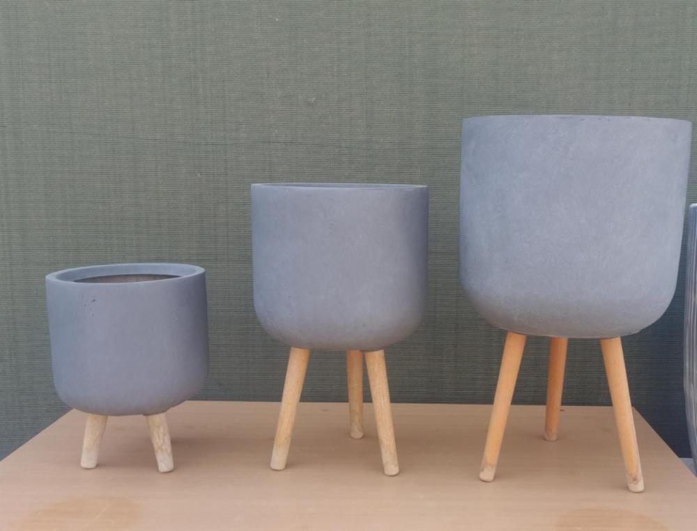 Buy Indoor PlantsOutdoor Plants & Garden Tools and Accessories Online