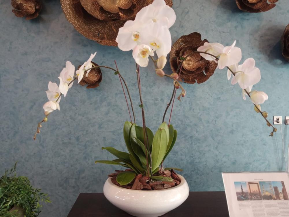 Orchid decor discount